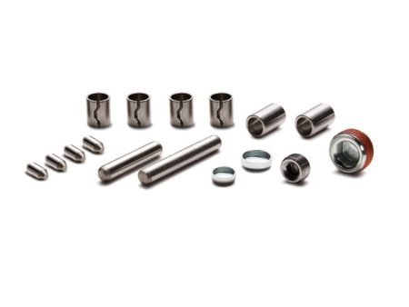 Ford Racing Block Plug and Dowel Kit (For M-6010-M50X) Online now